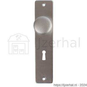 Ami KNOP BB F1 knopschild schild type 180/41 RH met knop 160/40 voor bonte baard SL 56 F1 finish - L30204615 - afbeelding 1