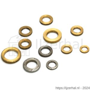 Dulimex DX HPL-SSR 10 RVS ring AISI 304 voor aanlaspaumelles 100 mm - L30203659 - afbeelding 1