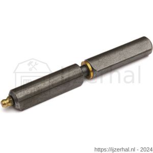 IBFM HPL WR SM 180 aanlaspaumelle smeernippel stalen pen en messing ring 180x22 mm blank staal - L30203151 - afbeelding 1