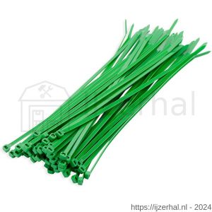 Dulimex DX 87300-48 kabelbundelband nylon 6.6 groen 4,8x300 mm - L30200113 - afbeelding 1