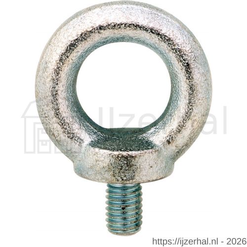 Dulimex DX 580-12B ringschroef type 580 M12 blank staal - L30200012 - afbeelding 1