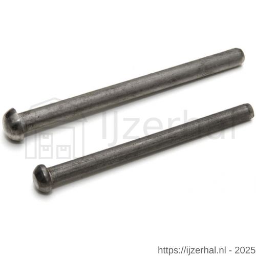Dulimex DX H1PEN RVS.89 scharnierpen voor scharnier 89x89 mm RVS - L30201788 - afbeelding 1