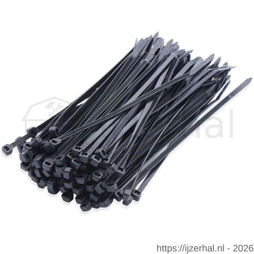 Dulimex DX 89160-48 kabelbundelband nylon 6.6 zwart 4,8x160 mm UV bestendig - L30200063 - afbeelding 1