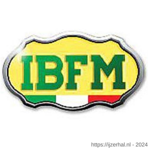 Logo IBFM